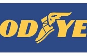 Tesloop y Goodyear, el mapa del futuro de las llantas en Teslas (Inteligencia Artificial)