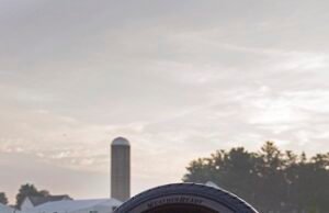 Goodyear usa caucho hecho con aceite de soya para fabricar sus llantas