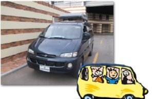 La seguridad vial en el transporte escolar