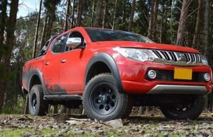 Las Pick Up, ideales para el trabajo en el campo