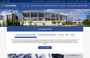 Cesvi renueva su website