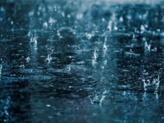 Lo que debe hacer mientras conduce en una tormenta