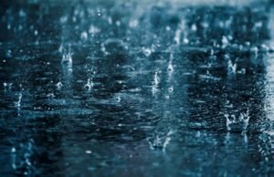 Lo que debe hacer mientras conduce en una tormenta