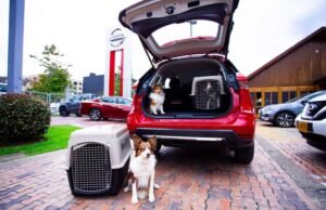 Nissan Motorshow en Bogotá se convierte en el primer establecimiento Pet-Friendly
