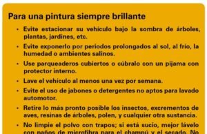 ABC del cuidado de la pintura del automóvil