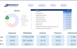 Desempeño Financiero del Sector Automotor 2018