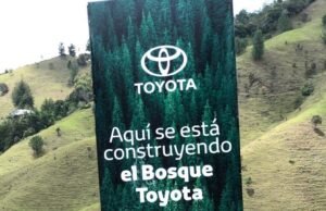 Toyota sembrará más de 7.500 árboles en Antioquia