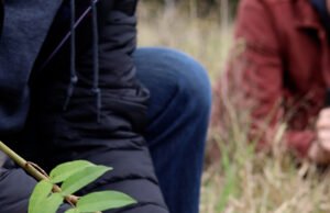 Mitsubishi y Cumbres Blancas unen fuerzas para preservar los ecosistemas de alta montaña