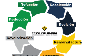 LA RECUPERACIÓN DE SALVAMENTOS Y REPUESTOS APORTAN A LA SOSTENIBILIDAD AMBIENTAL