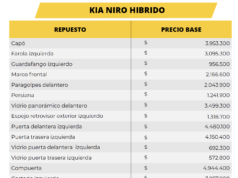 CESTA BÁSICA DE LANZAMIENTOS