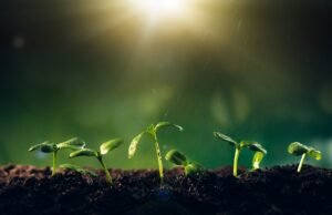 La industria de las llantas atiende el llamado a reducir la huella de carbono con innovadoras iniciativas ambientales