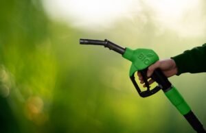 Los Biocombustibles son una alternativa clave para la descarbonización de Colombia biocombustible