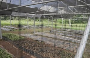 Primax Colombia y la Fundación para la Conservación y el Desarrollo Sostenible anuncian alianza para preservar la biodiversidad en la Amazonía Colombiana