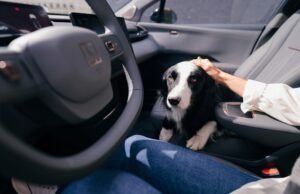 Zeekr X presenta el Modo Mascota: movilidad eléctrica con bienestar animal en Colombia