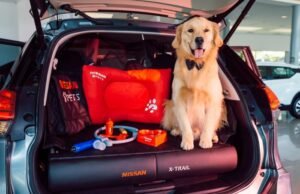 Renovado diseño de Nissan, pensando en las mascotas