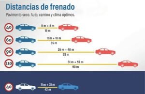 Durante el viaje