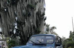 Conoce a los ganadores del Concours D´Elegance Colombia 2025