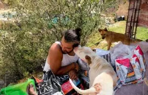 Nissan, la Fundación Animal Voices y Nestlé Purina se solidarizan con los animales de la calle